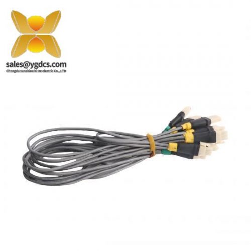 Honeywell 51202329-702 & 51202329-712 & 51202329-102 & 51020329-802, Control Modules for Advanced Industrial Automation