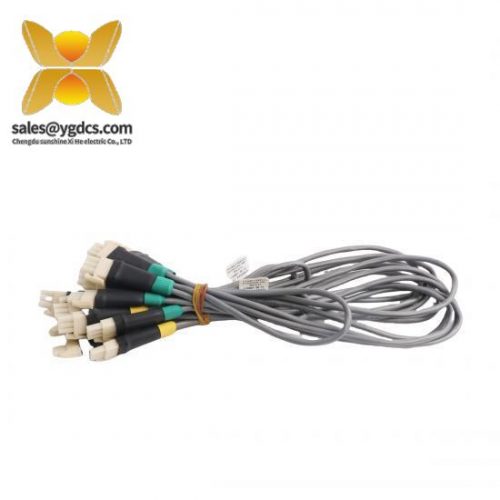 Honeywell 51202329-702 & 51202329-712 & 51202329-102 & 51020329-802, Control Modules for Advanced Industrial Automation