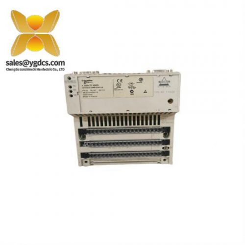 Schneider 170INT11003 PLC Analog I/O Interbus Adaptor Module