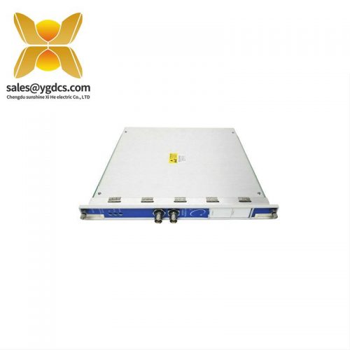 Bently Nevada 101-00-63-10-02-00: Precision Control Module for Industrial Automation