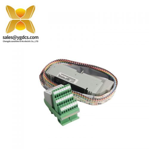 FOXBORO AD207AVPLC Module for Industrial Automation Control Systems