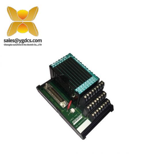 FOXBORO FCM210 Function Module for Industrial Automation Control Systems
